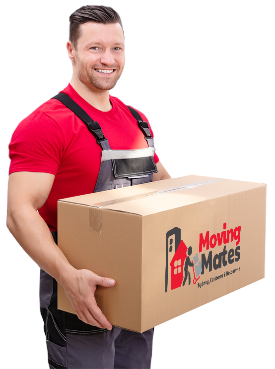 Moving Mates Removalist With Box