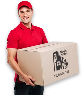 Moving Mates Removalist Carrying Box